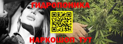 spice Кинель