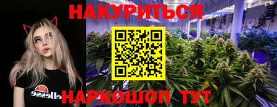 spice Кинель