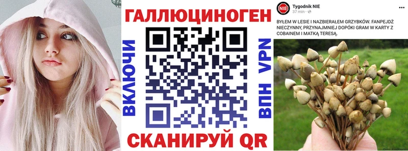 Псилоцибиновые грибы Cubensis  сколько стоит  Феодосия 